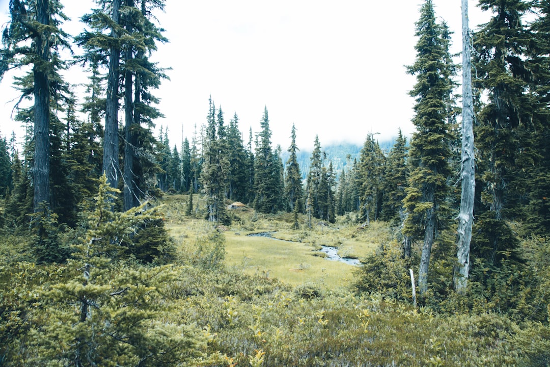 Welcome to StrataCorp22 Homeowners Association!